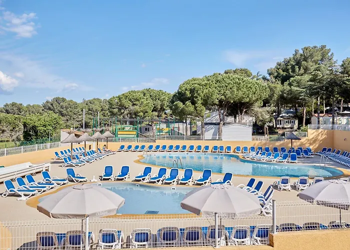 Hôtel accueillant les animaux: Domaine Résidentiel de Plein Air Odalys La Pinède