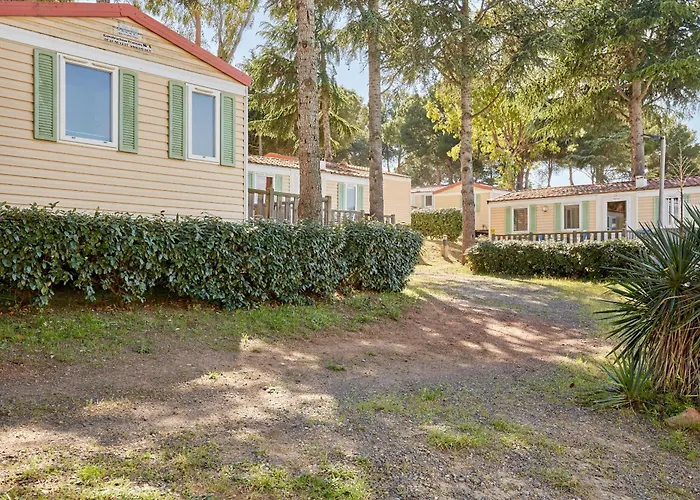 Hôtel accueillant les animaux: Domaine Résidentiel de Plein Air Odalys La Pinède